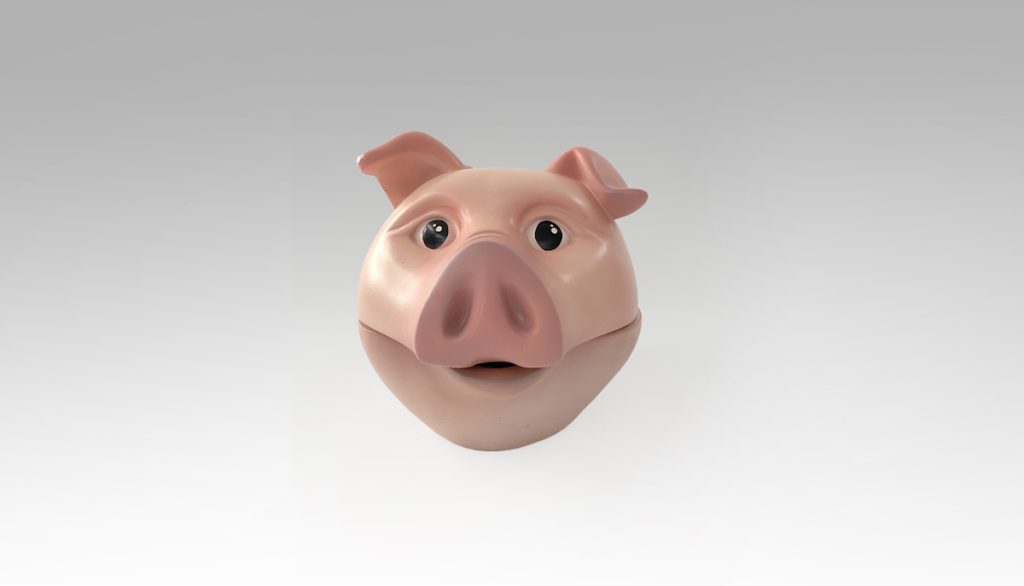 CERDO ROSA Coscolo 0176