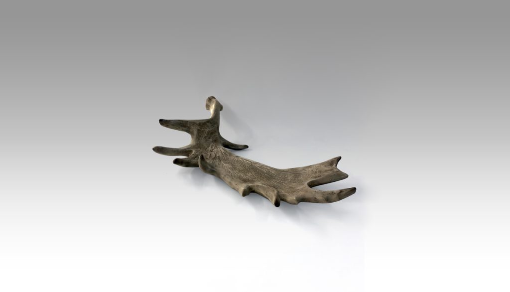 CUERNO ALCE Colección 0180