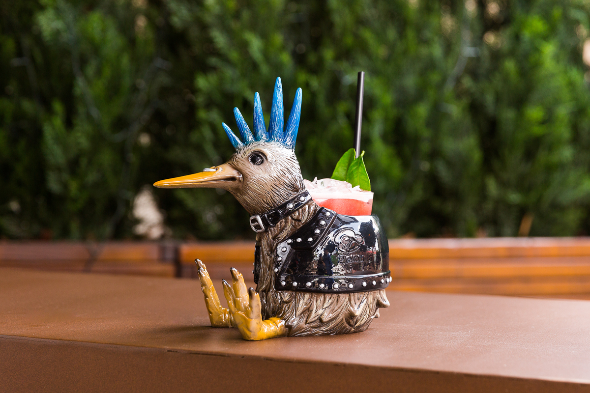 Ref: Pajaro Kiwi Zielou, Madrid 0808 - Disponibilidad: Naranja