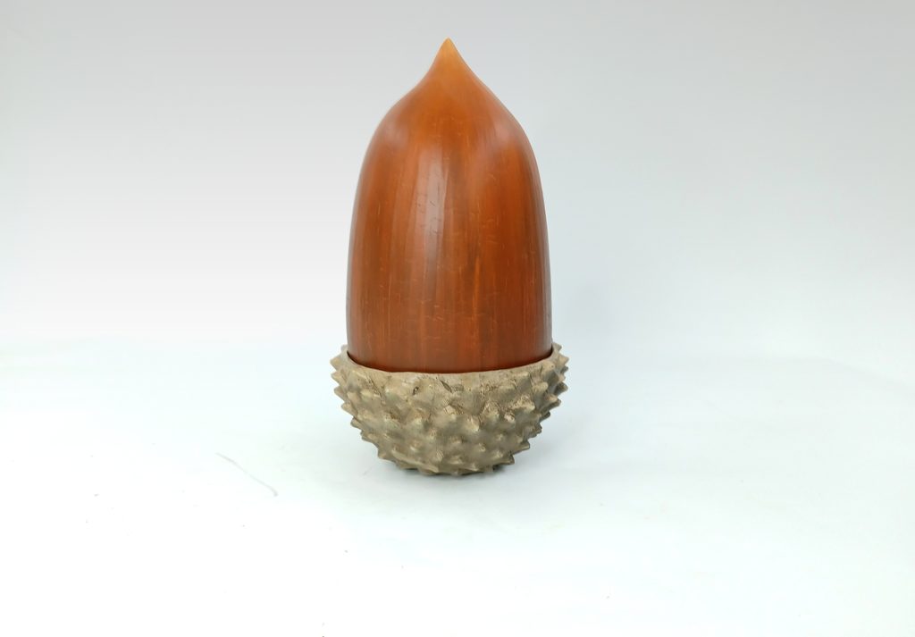 BELLOTA CON TAPA Colección 0388