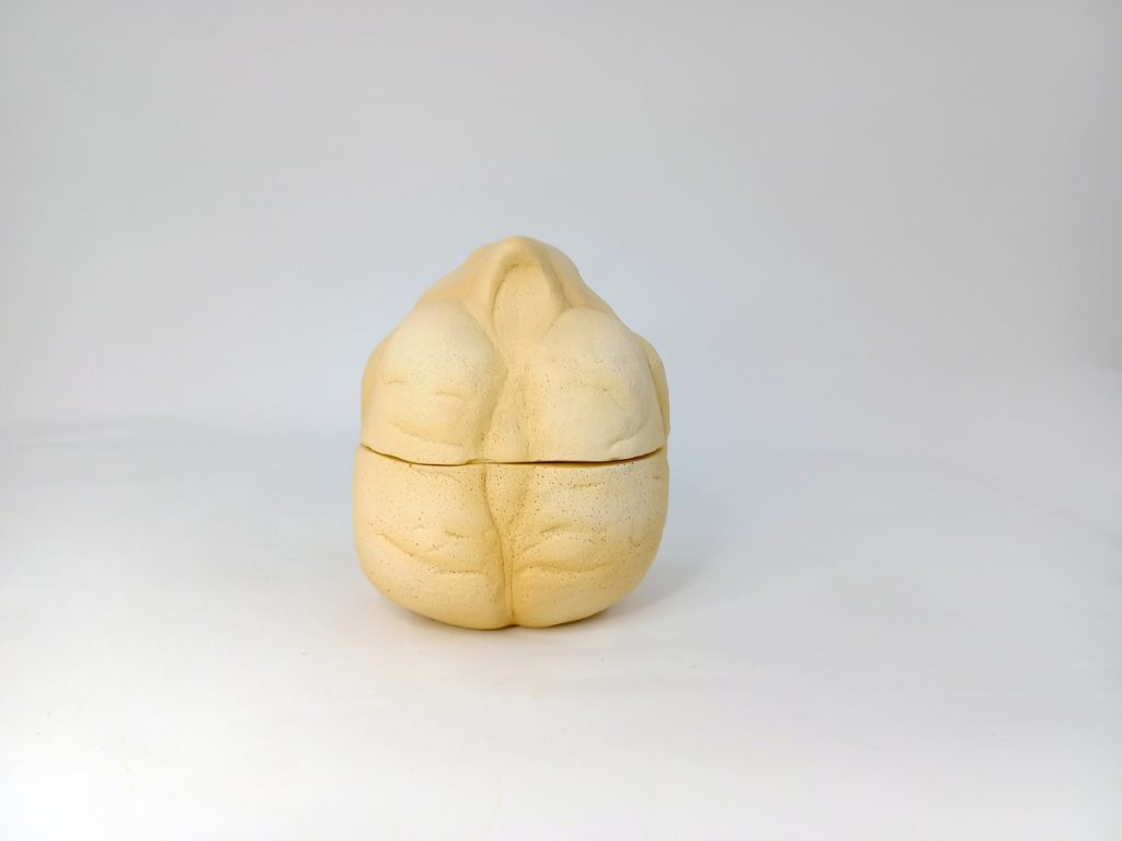 GARBANZO Colección 0418