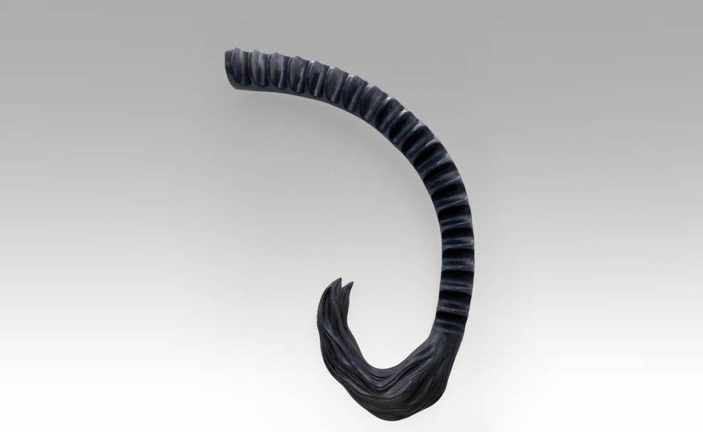 RABO DE TORO PARA TACOS Colección 0517