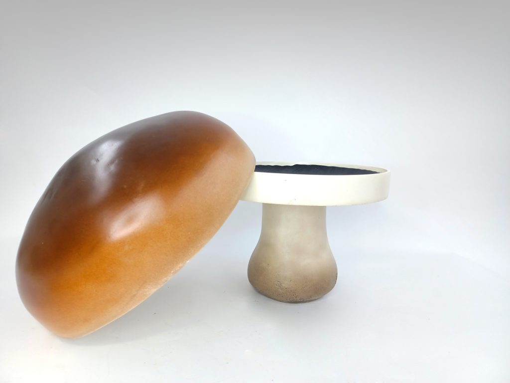 SETA “BOLET” GIGANTE Colección 0840