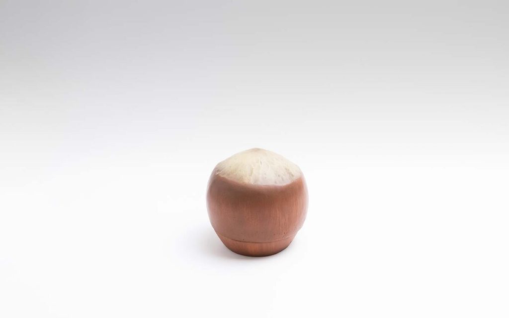 AVELLANA PEQUEÑA Colección 0397