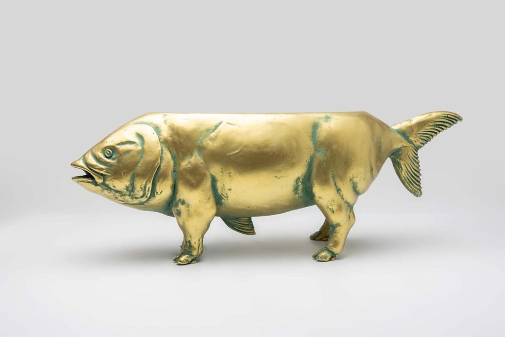 CERDO ATÚN Colección 0175