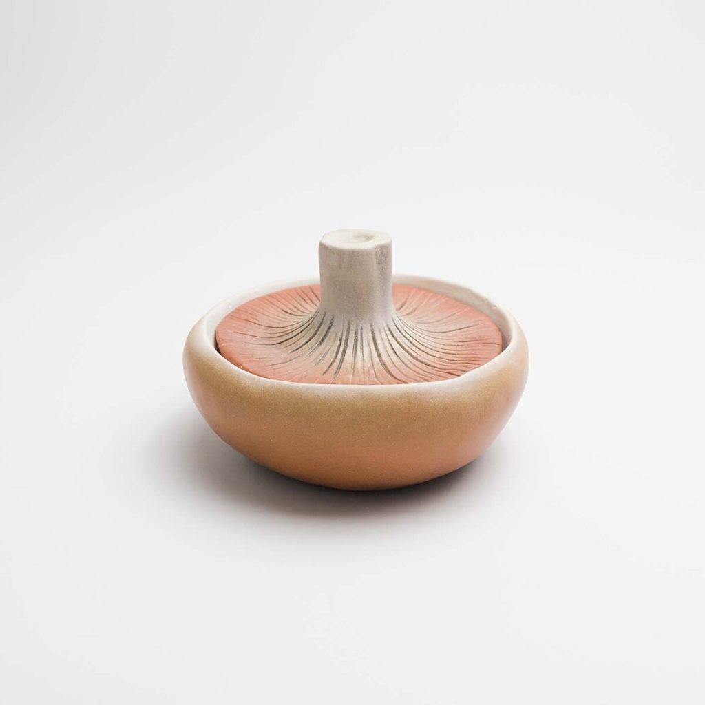 SETA INVERTIDA Colección 0370