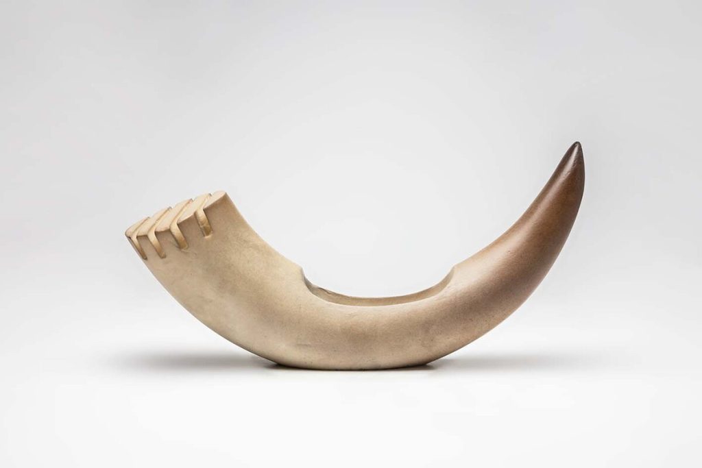 CUERNO CUENCO Colección 0177