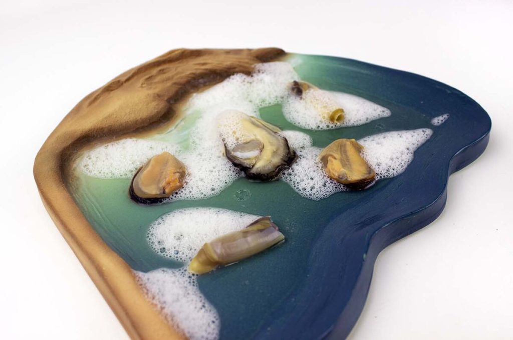 DELTA DEL EBRO Colección 0333