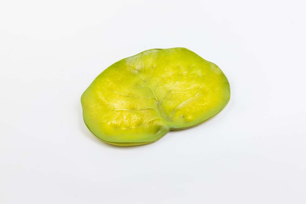 HOJA LECHUGA PLATO Colección 0375