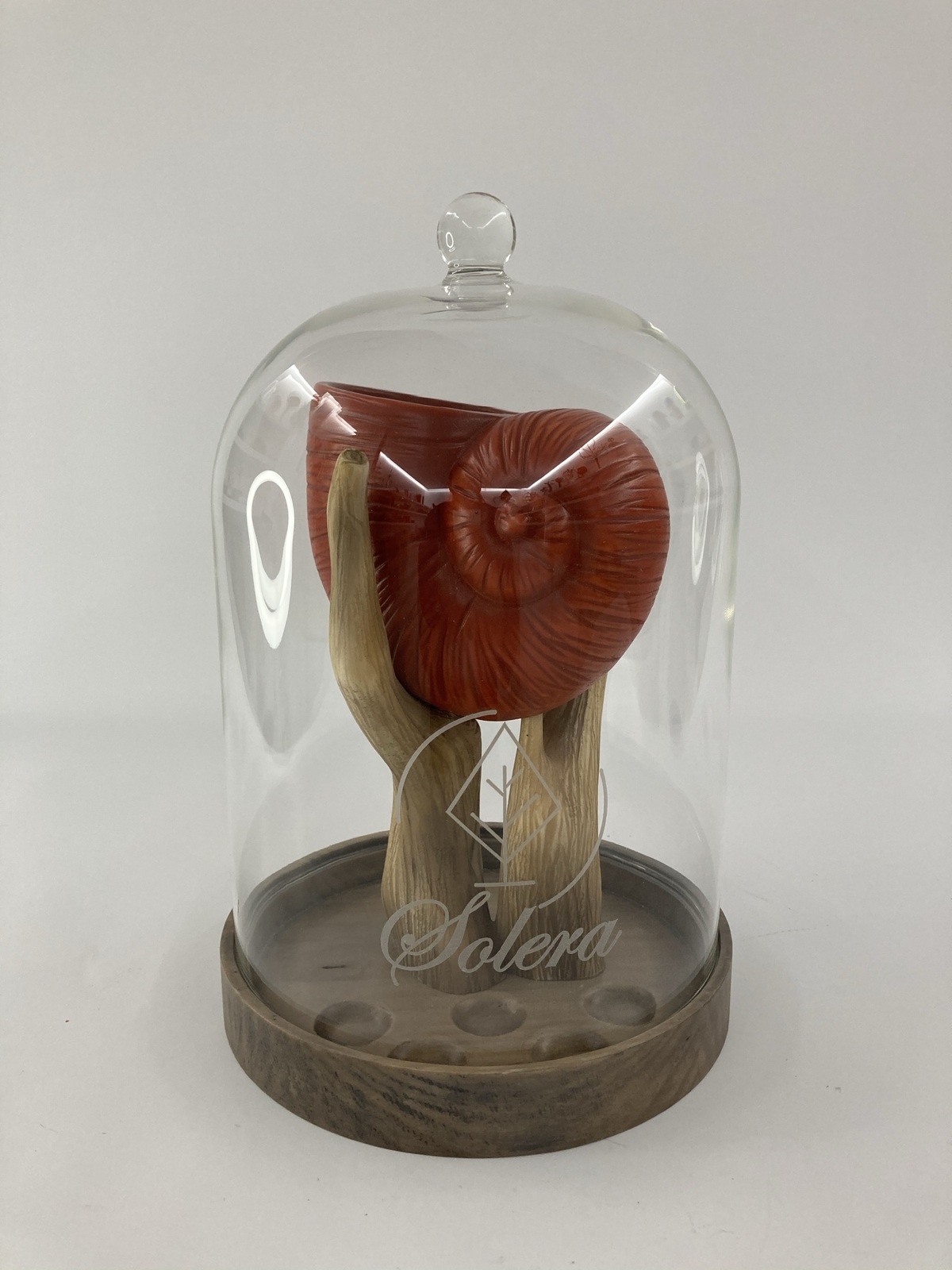 Ref: Caracola Solera, París 0556 - Disponibilidad: Rojo