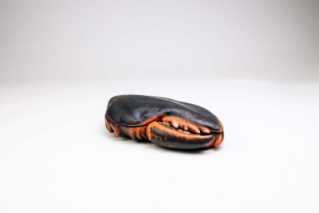 PINZA BOGAVANTE Colección 0349