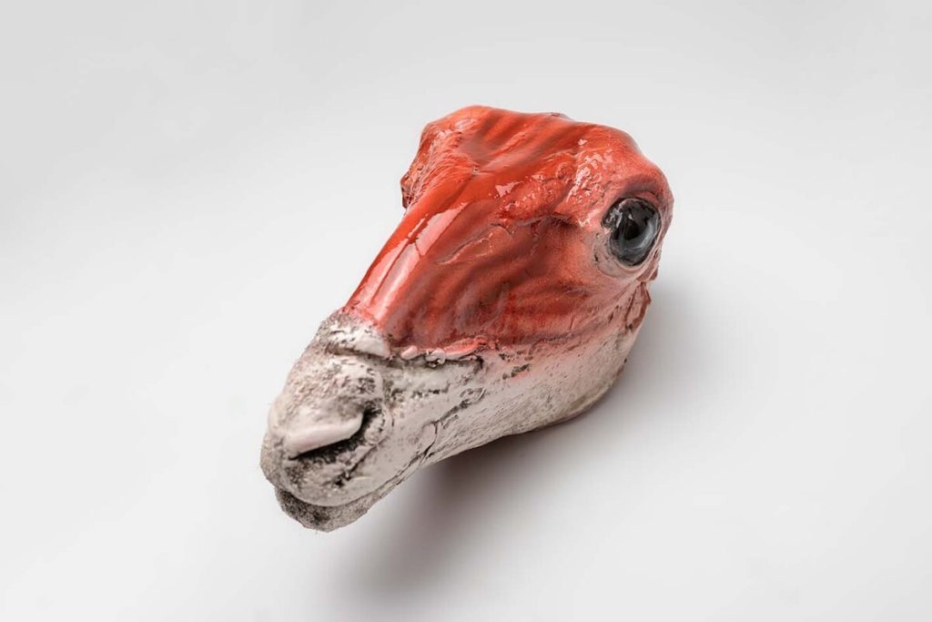 CABEZA CORDERO DESOLLADA Colección 0184