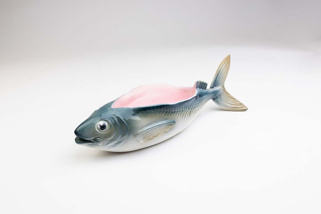 PEZ SECCIÓN PARTE SUPERIOR Colección 0317