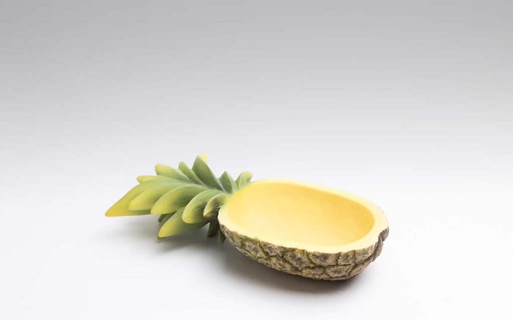 PIÑA SECCIONADA TRANSVERSAL Colección 0448