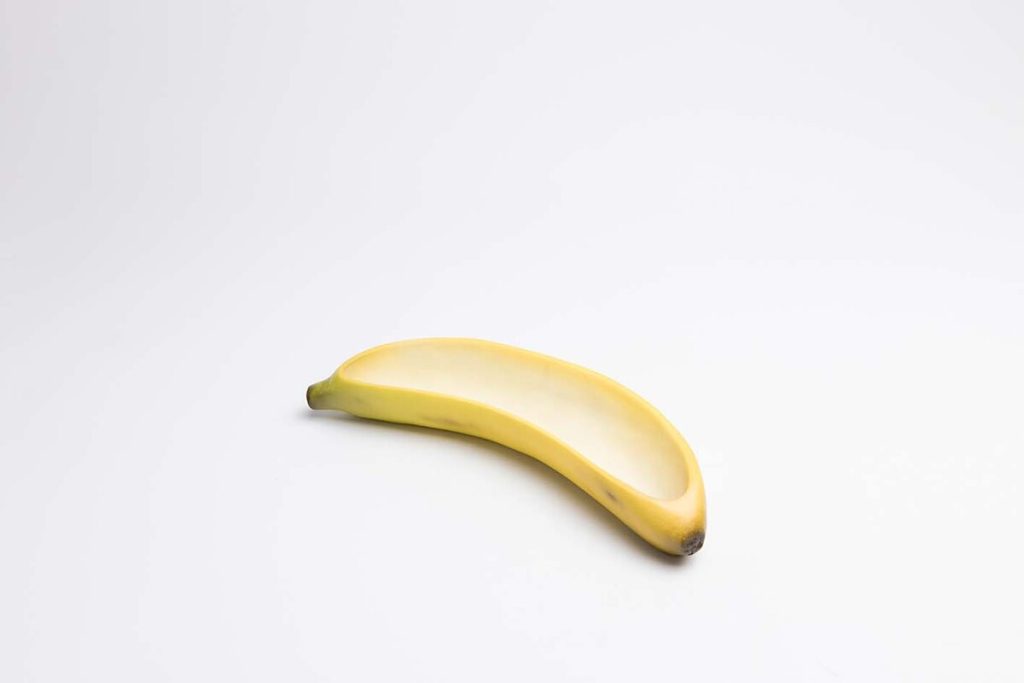 PLATANO SECCIONADO TRANSVERSAL Colección 0450