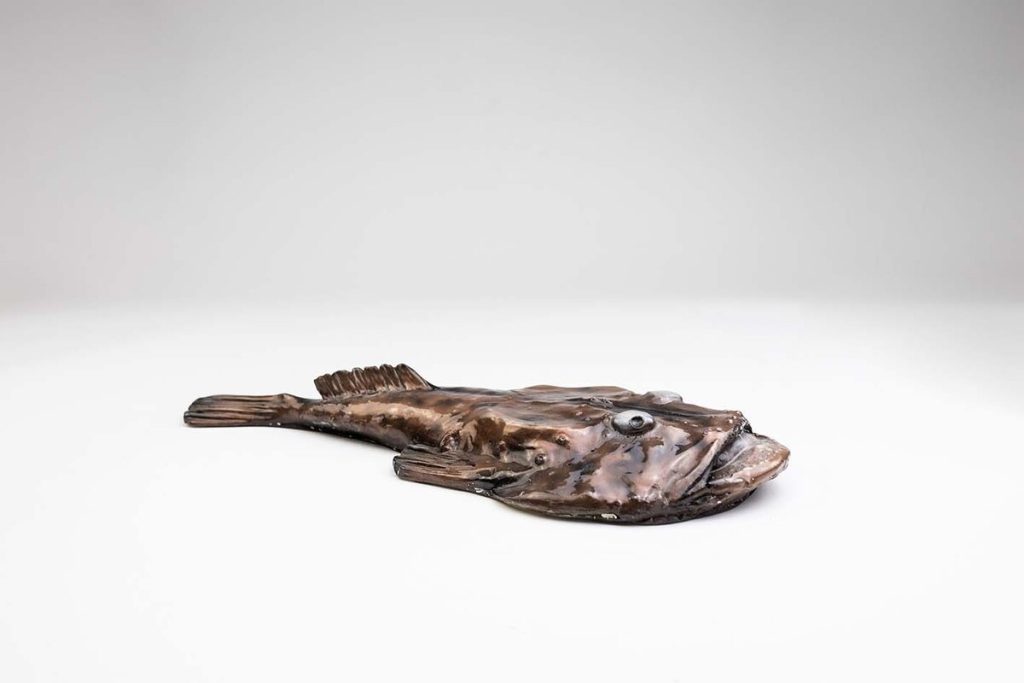 RAPE Colección 0322