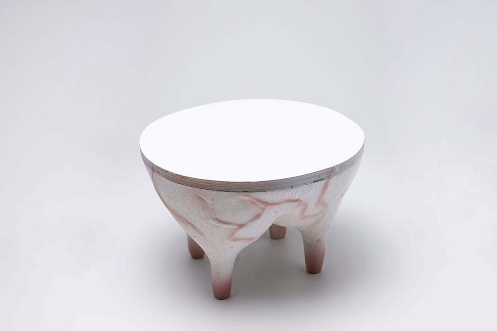 TETAS VACA Colección 0080