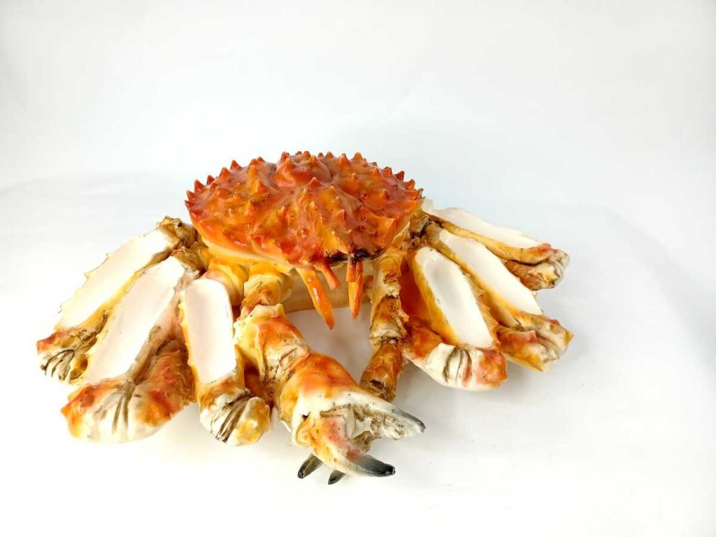 CANGREJO REAL GIGANTE CON LAS PINZAS CRUZADAS Colección 0864