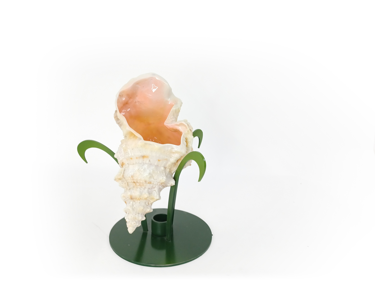 Ref: Caracola con soporte Patio de las Flores, Puerto Rico 0855 - Disponibilidad: Verde